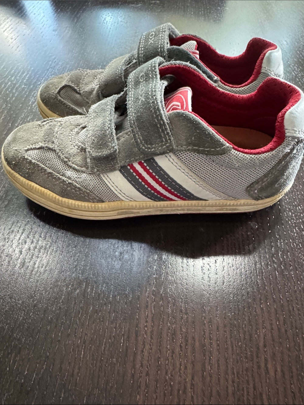 Geox Gray Sneakers with Red Lining and Navy/Red Stripe Detail